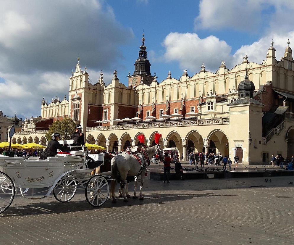 Słowacka para zjadła obiad w Krakowie. Ceny posiłków wprawiły ich w osłupienie. Szok
