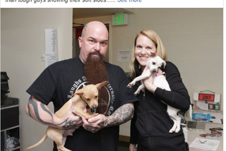 Slayer, Carcass i Testament