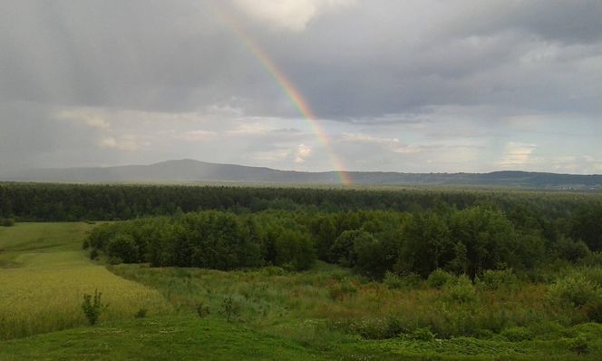 Klonów - urokliwa wieś w sercu Puszczy Świętokrzyskiej