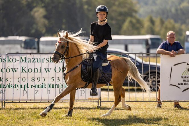 Jesienne Targi Rolnicze w Gryźlinach 2024. Wydarzenie przyciągnęło tłumy. Zobacz zdjęcia