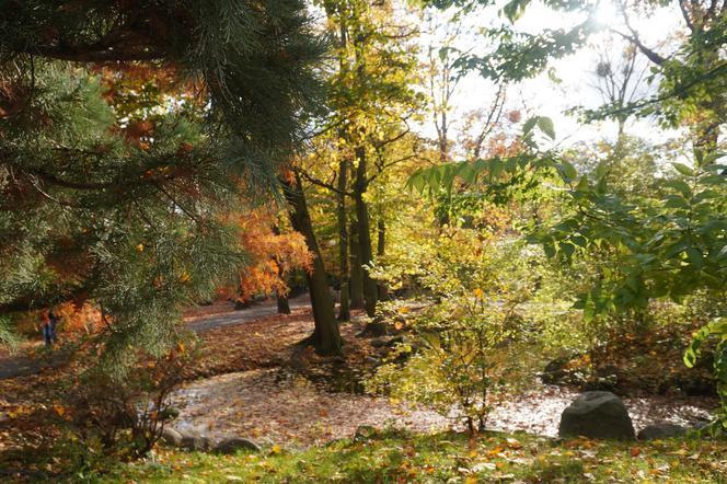 Park Wilsona