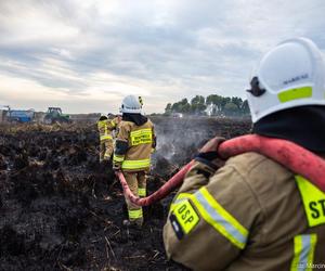 Pożar w Biebrzańskim Parku Narodowym [ZDJĘCIA]