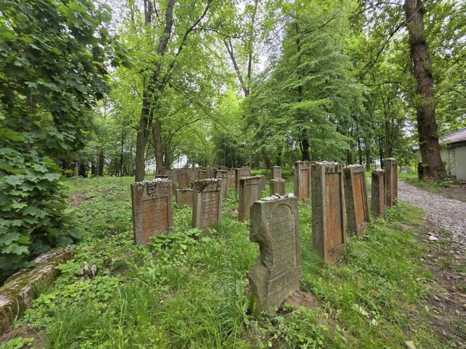 Cmentarz żydowski w Leżajsku