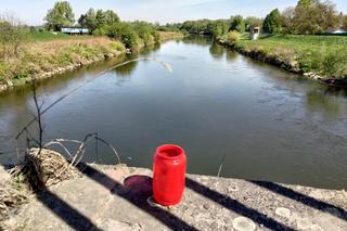 Bestialsko zrzucili Grzegorza z mostu. Tobiasz i Kuba nie mieli litości dla kolegi 