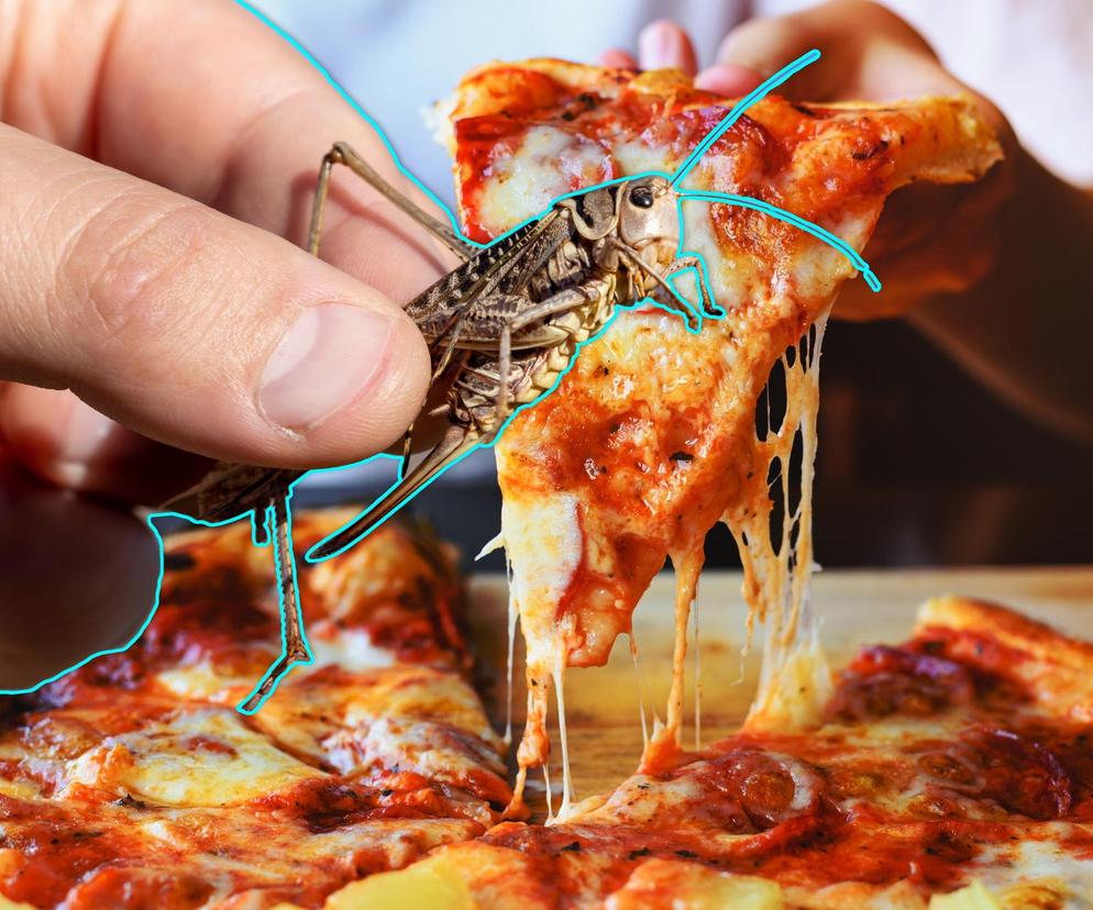 Szok! Serwują swoim klientom pizzę z owadami!