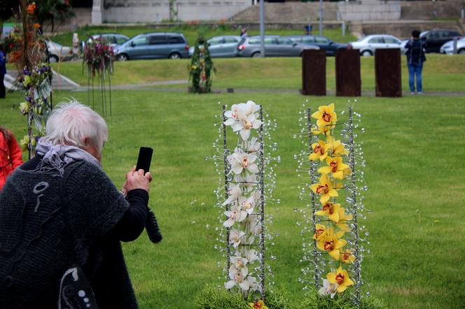 Wystawa Florystyczna na Wałach Chrobrego