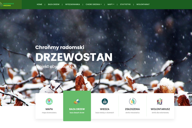 Screen ze strony drzewa.radom.pl