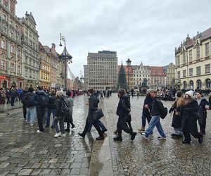 Polonez dla Fredry 2025 we Wrocławiu. Maturzyści zatańczyli na Rynku [ZDJĘCIA]