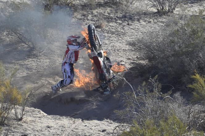 Dakar 2014, Paulo Goncalves