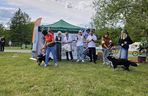 Festiwal Przyjaciół Zwierząt w Olsztynie. Park Centralny opanowały radosne pieski