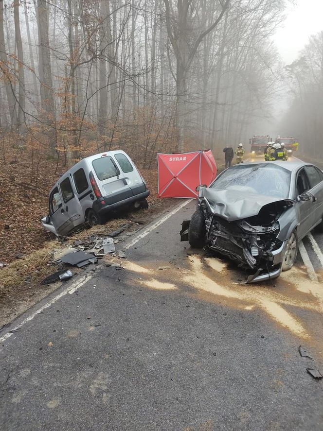 Wypadek na drodze krajowej numer 57 w okolicy miejscowości Tejstymy