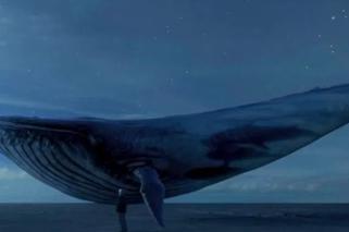 Niebieski wieloryb - kontrowersyjna gra zbiera śmiertelne żniwo
