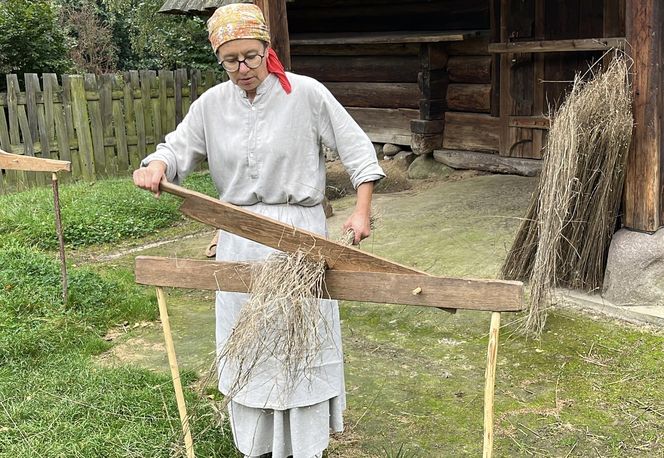 Niedzielna z lnem w Muzeum Wsi Lubelskiej. "Trudno w to uwierzyć, że to taka niesamowita roślina"