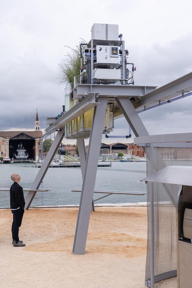 Canal Cafe ze Złotym Lwem - Biennale Wenecja 2025