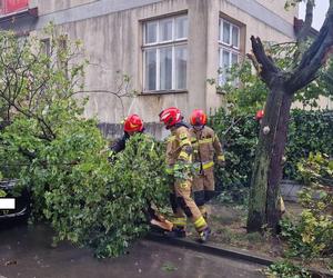 Połamane drzewa, uszkodzone dachy i samochody. To obraz po nawałnicach, które przeszły przez Tarnów i region 