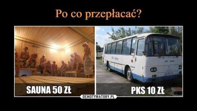 Do Polski dotarła fala gorąca. Te memy na temat upalnych dni rozbawią wszystkich do łez!