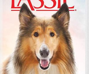 Lassie 