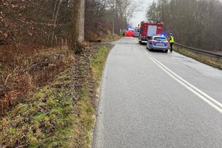 Borucino. Dwie osoby zginęły w śmiertelnym wypadku pod Kartuzami [ZDJĘCIA]