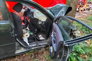 Afrykańskie upały zabiły Zenona?