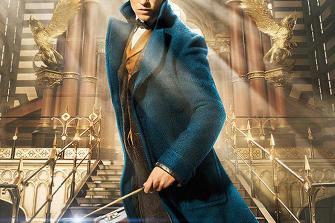 Harry Potter: Fantastic Beasts mają niewiarygodny scenariusz! Eddie Redmayne zachwyca się