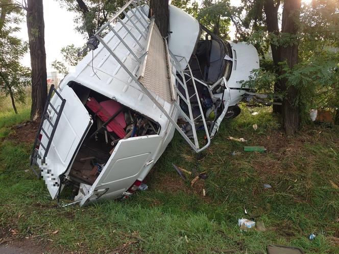 Bus owinął się wokół drzewa, kierowca po alkoholu. Poranny wypadek koło Leszna