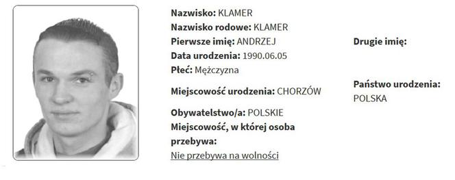 Rejestr Przestępców Seksualnych z województwa śląskiego [ZDJĘCIA]