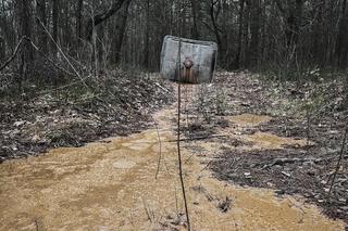 Ktoś zostawia beczki z chemikaliami w lesie pod Wołominem. Jest nagroda za wskazanie sprawców