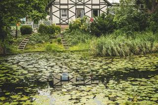 Żuławy Wiślane. Zamki i wspaniałe widoki. Co tu zwiedzić? Zapytaliśmy o to Wędrowne Motyle