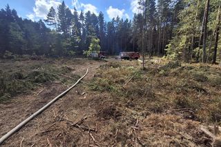 Pożar lasu w gminie Bliżyn