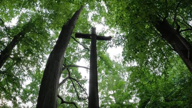 Zapytaliśmy AI o najstraszniejsze miejsce na Podlasiu. Wybór Cię zaskoczy!