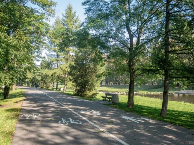 Najładniejsze ścieżki rowerowe jesienią w Śląskiem