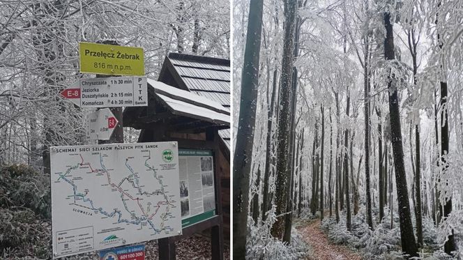 Czuć zimę w Bieszczadach 