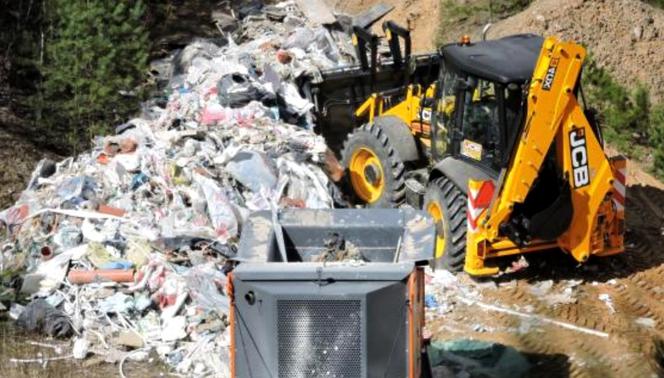 Nielegalna utylizacja śmieci w lesie