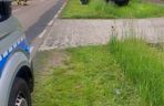 W wyniku wypadku droga wojewódzka nr 698 została całkowicie zablokowana. Policjanci kierują na objazdy