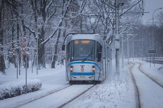 Wrocław. Zima sparaliżuje komunikacje miejską? 