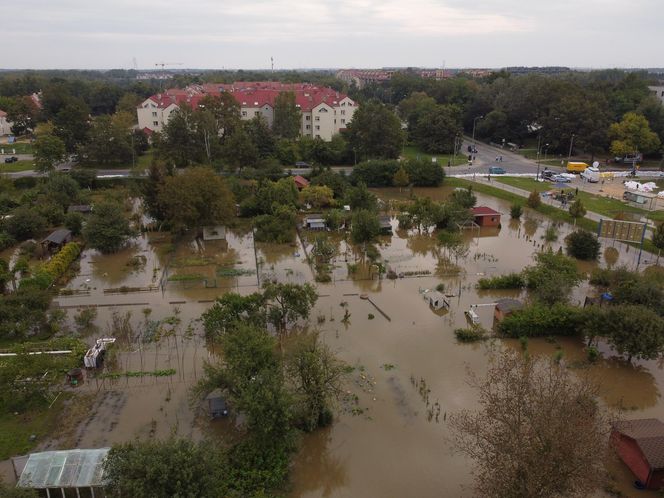  Fala powodziowa we Wrocławiu. Podtopienia na osiedlu Stabłowice