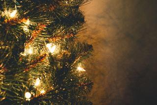 Boże Narodzenie: Ile prądu zużywają lampki choinkowe?