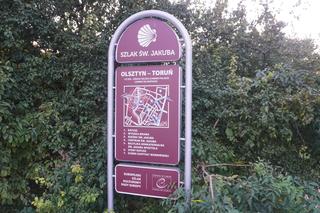 To najpopularniejszy szlak pielgrzymkowy w Europie. Przebiega przez Olsztyn i prowadzi aż do Hiszpanii [ZDJĘCIA]