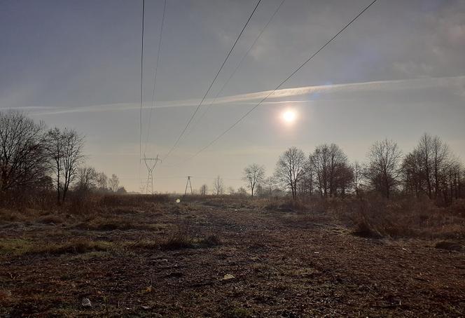 W Gorzowie powstanie OGROMNY park handlowy. Co się w nim znajdzie?