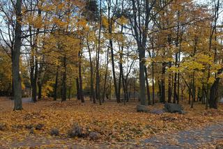 Park 1000-lecia w Lesznie na chwilę przed zachodem słońca