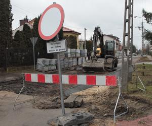  W Wołominie wycinają drzewa na potęgę! Mieszkańcy są wściekli