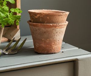 Terakotowa donica - Sophie Allport