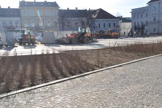 Zielona rewitalizacja w Rynku w Kielcach