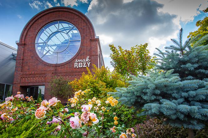 Tych Walentynek długo nie zapomnisz
