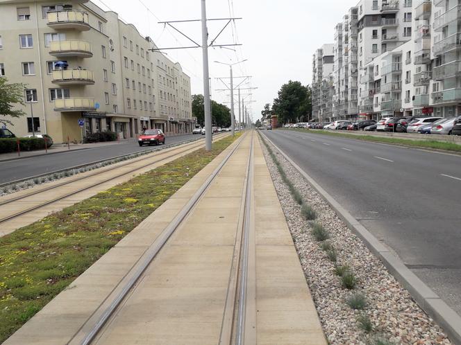 Toruń: MZK chwali się zielonym torowiskiem przy Broniewskiego