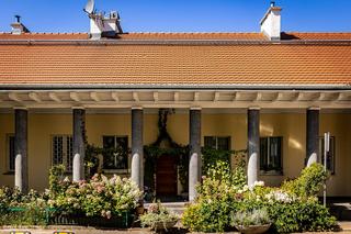 Konkurs Warszawa w kwiatach