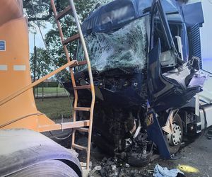 Trzy ciężarówki rozbite pod Płockiem. Kierowca zakleszczony