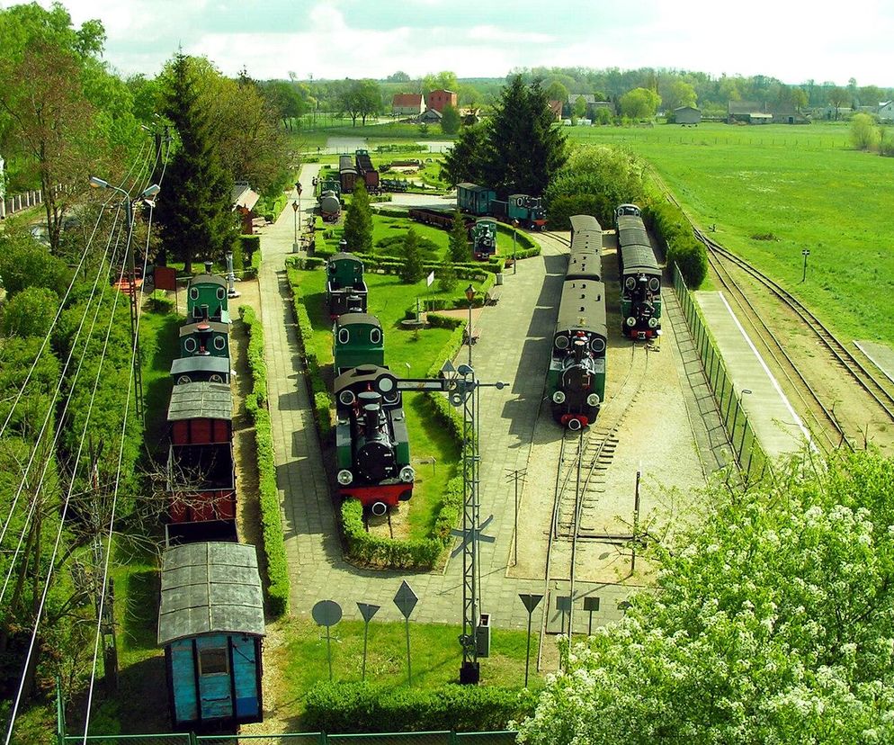 Nietypowe muzea w kujawsko-pomorskim. To może zdziwić niejednego gościa [GALERIA]