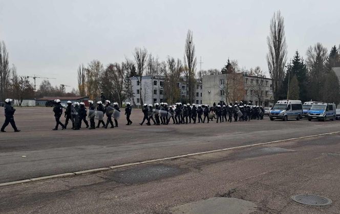 Atestacja koni służących w łódzkiej policji i straży miejskiej