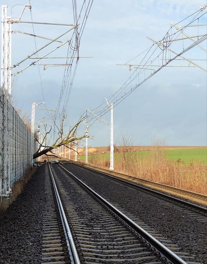 170 osób ewakuowanych z pociągu. Powalone przez wiatr drzewa uszkodziły trakcje kolejowe